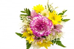 flowers_214_shutterstock_220019164