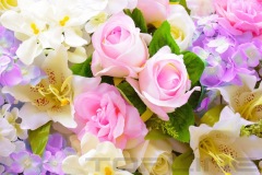 flowers_245_shutterstock_231095086