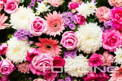 flowers_394