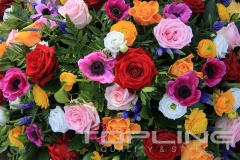 flowers_488